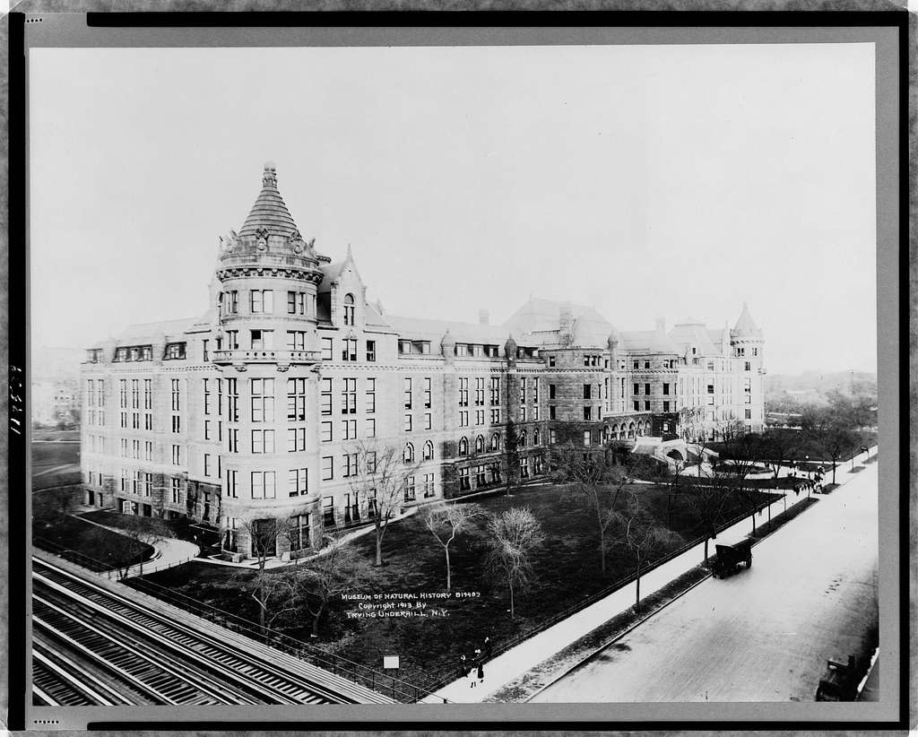 A 19th century view of the American Museum of Natural History.
